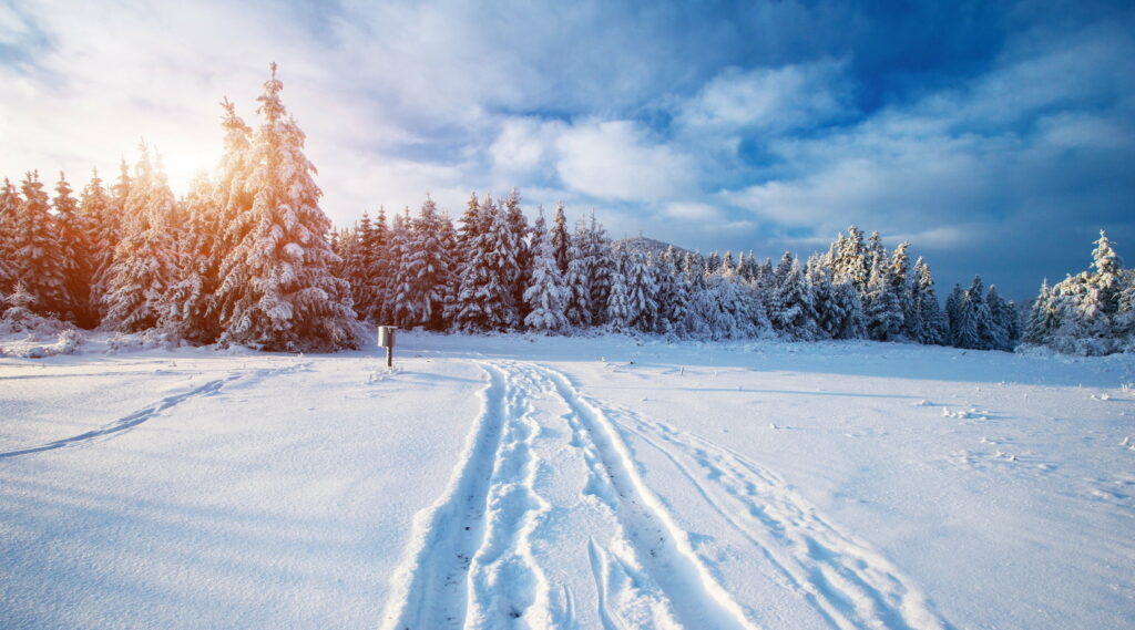 Traversing Winter Ultra: A Stunning Scenery of Seasonal Trails in 4K Wallpaper Background Photo