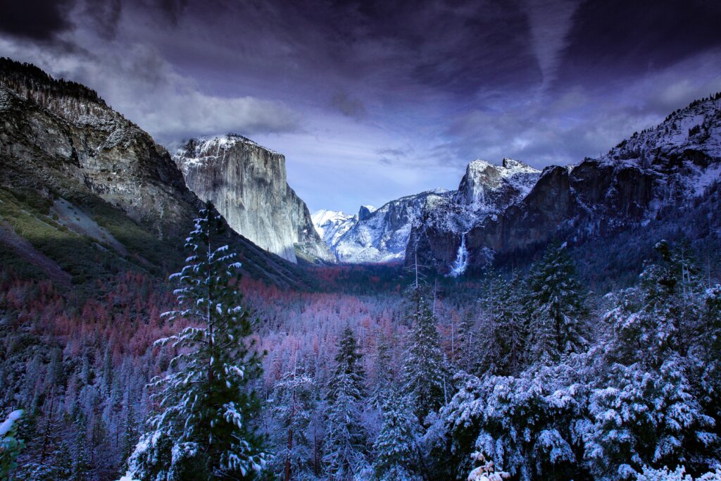 Snow-capped mountains with evergreen trees and frosted branches under a moody winter sky Wallpaper