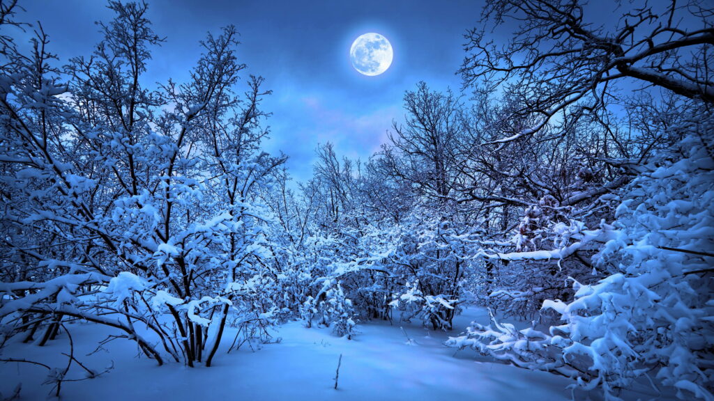 Frosty Moonlit Wonderland: A Serene Winter Snowscape in 4K Wallpaper