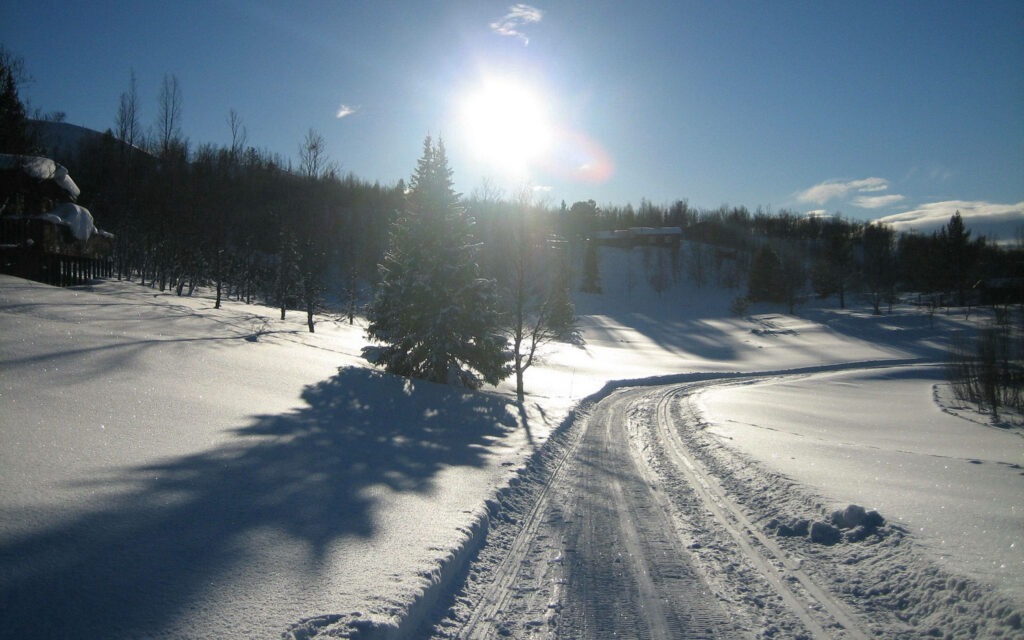 Winter Wonderland: Delight in the Serenity of a Snowy Road Wallpaper