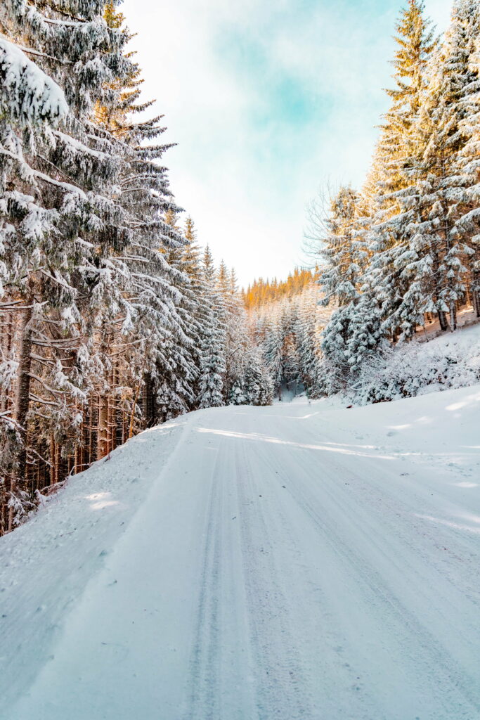 Enchanting Winter Wonderland: Majestic Forest Retreat on Snowy Road Wallpaper