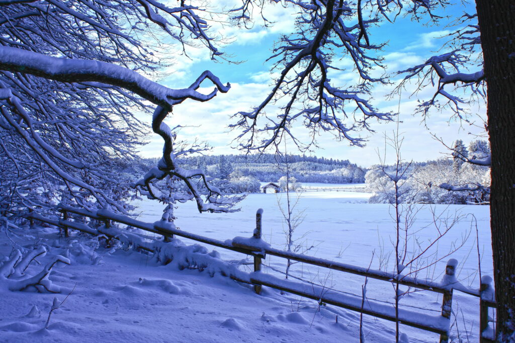 Winter Wonderland: A Snowy Landscape with Fence and Branches - Perfect Winter Wallpaper Background Photo