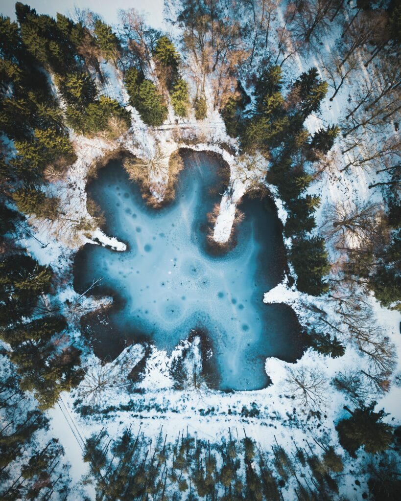 Aerial view of frozen pond with snow-covered trees winter landscape Netherlands icy blue tones Wallpaper