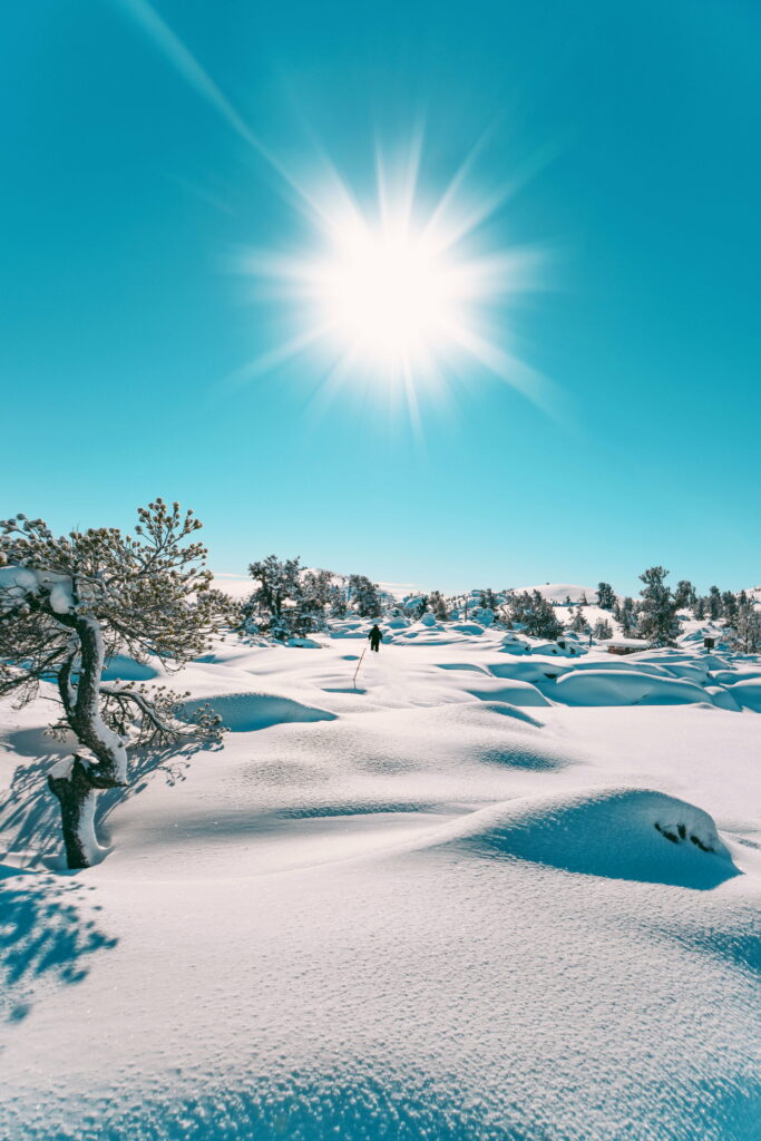 Winter Wonderland: A Majestic HD Phone Wallpaper Showcasing Scenic Sunlit Snowy Landscape