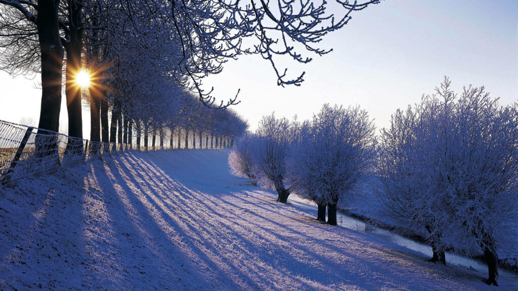 Frosty Dutch Road: A Majestic Winter Wonderland for your Desktop Wallpaper