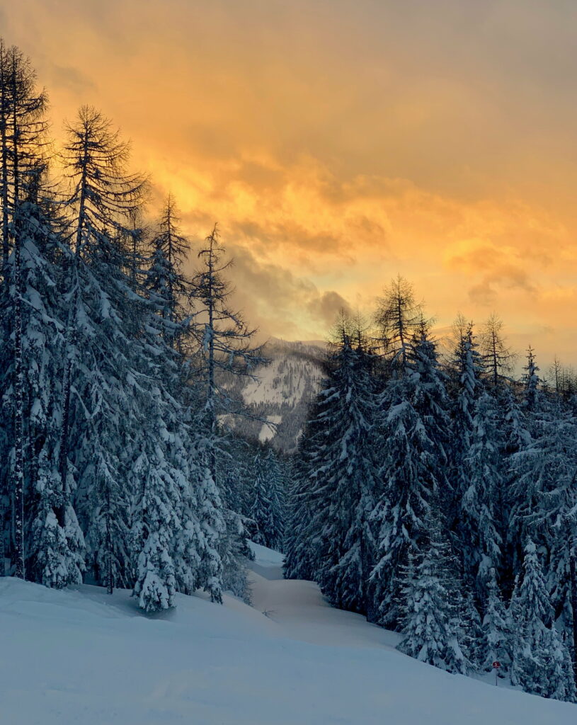 Majestic Winter Wonderland: A Spectacular HD Phone Wallpaper of Snow-Kissed Forest Bathed in Glorious Sunset Glow
