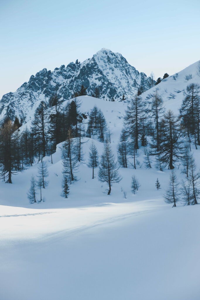Winter Wonderland: Majestic Snowy Peaks and Serene Forest Canopy in HD Wallpaper