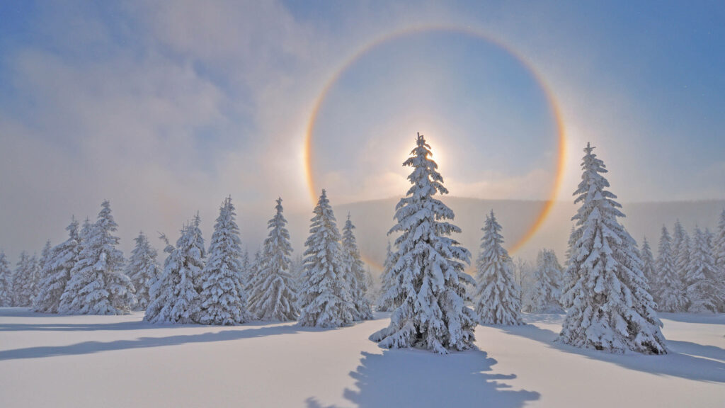 The Majestic Winter Wonderland: 2560x1440 Nature Background with Frosted Trees and Solar Halo in Germany's Ore Mountains Wallpaper