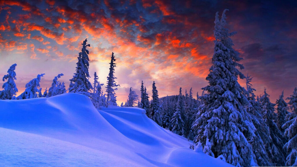 Majestic Winter Wonderland: Sunlit Sky, Snow-laden Trees, and Windows of Serenity Wallpaper