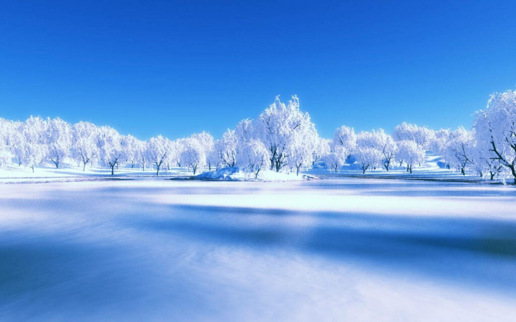 Frosty Wonderland: Captivating Winter Scenery with Snowy Plains and Majestic White Trees against a Gradual Clear Blue Sky - Perfect Winter Scenery Background Photo Wallpaper
