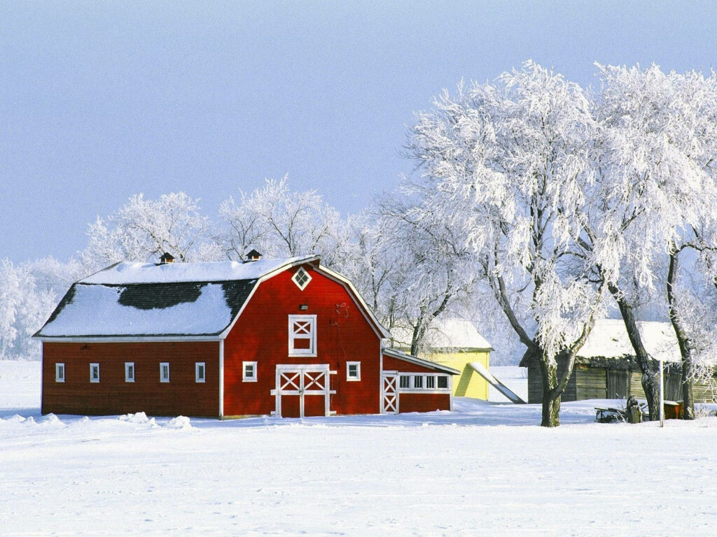 Winter Wonderland: Captivating Red-painted Farmhouse Amidst Snow-covered Trees - Farmhouse Background Photo Wallpaper