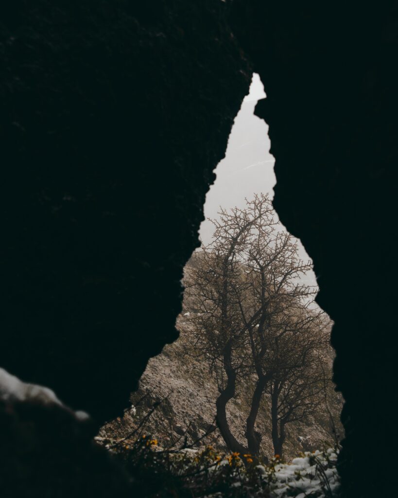 Winter cave view with delicate snow-covered trees and rugged rock textures wallpaper background
