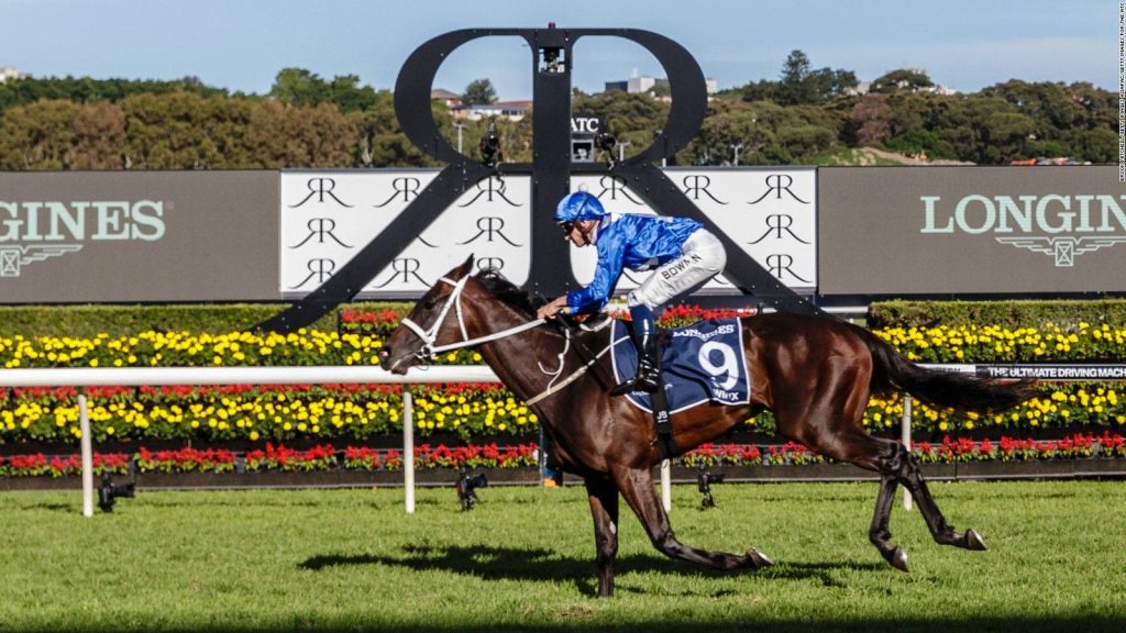 Winx horse racing with jockey Hugh Bowman galloping past yellow flowers at Australian Turf Club Wallpaper