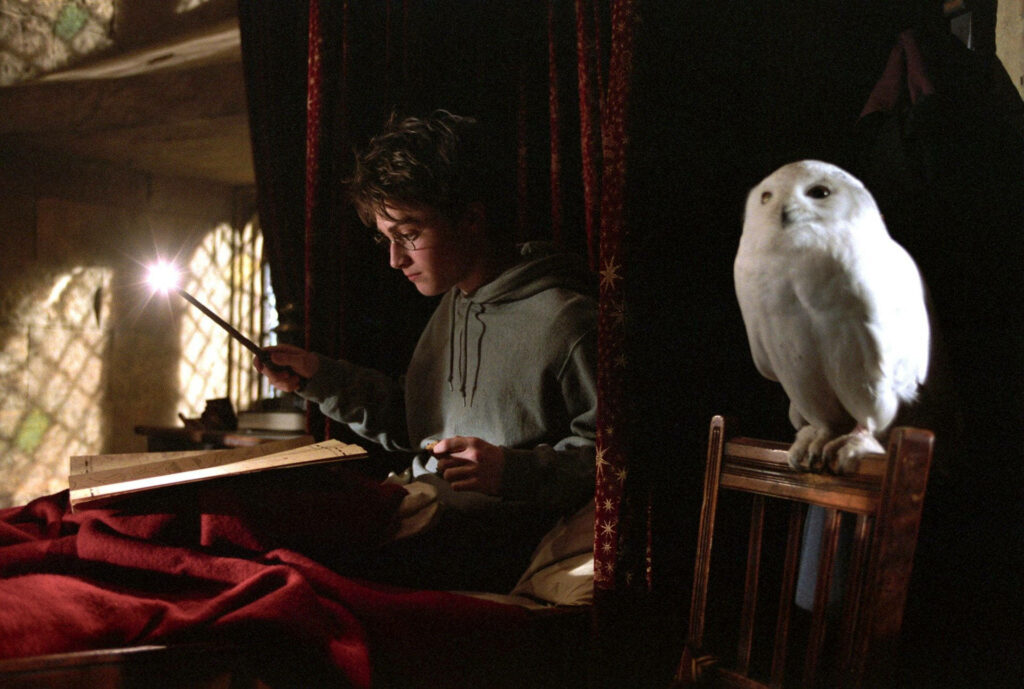 Magical Nighttime Moment: Harry Potter Embracing His Wand's Radiance with Hedwig by His Side Wallpaper
