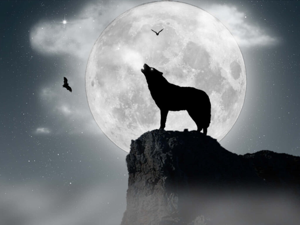 Mystical Wolf Howling at Full Moon with Bats - Night Sky Wallpaper