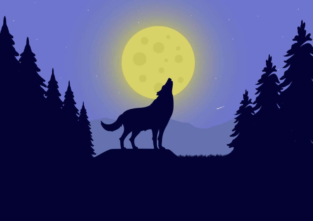 Majestic Wolf Howling at Moon - Serene Nighttime Forest Wallpaper
