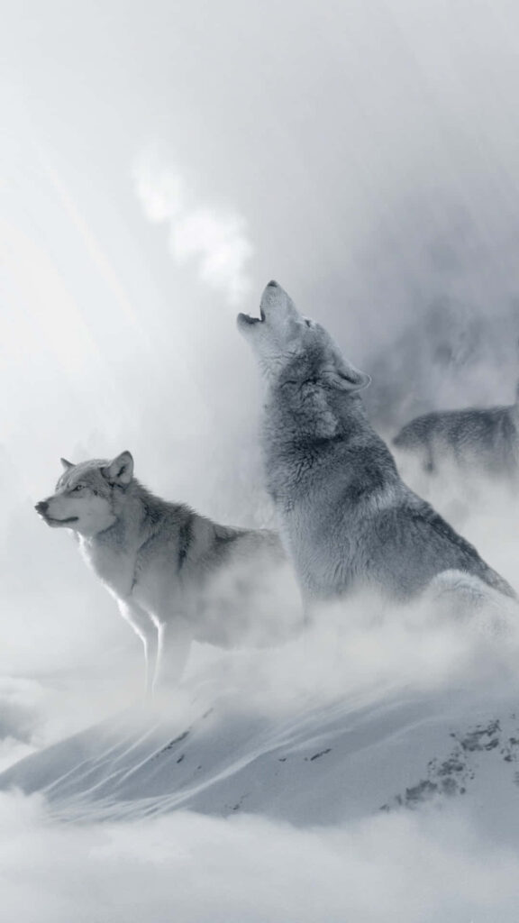Majestic Wolves Howling in Snowy Wilderness - The Wolf Phone Wallpaper