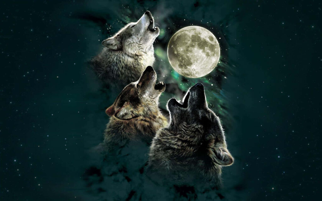 Wolves Howling at Full Moon: Majestic Night Sky Wallpaper