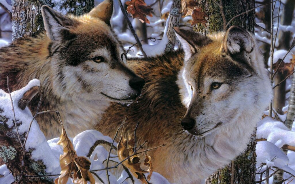 Wolves in Snowy Forest: Loyalty & Beauty | Stunning Nature Wallpaper