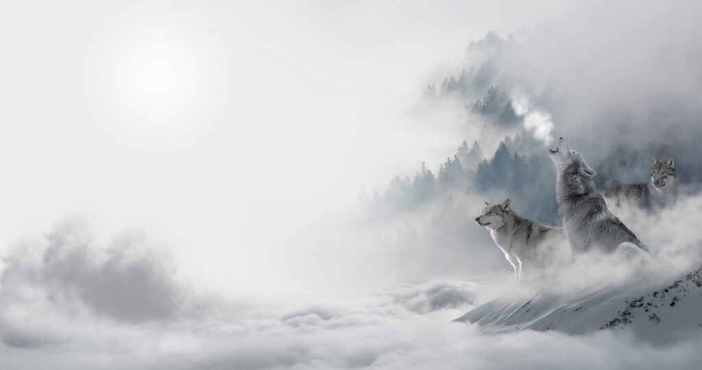 Wolves Howling in Snowy Winter Landscape - Dramatic Wallpaper