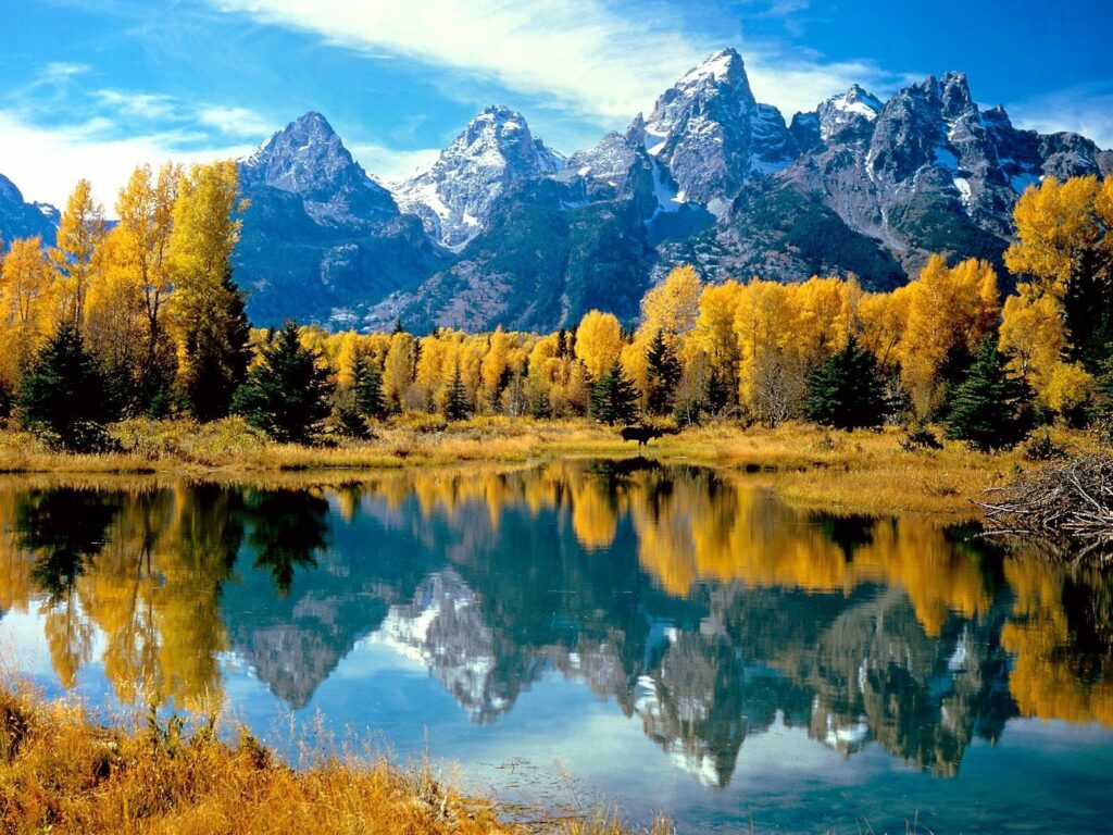 Autumn foliage in Wyoming national park with golden trees reflecting on calm lake and mountains Wallpaper