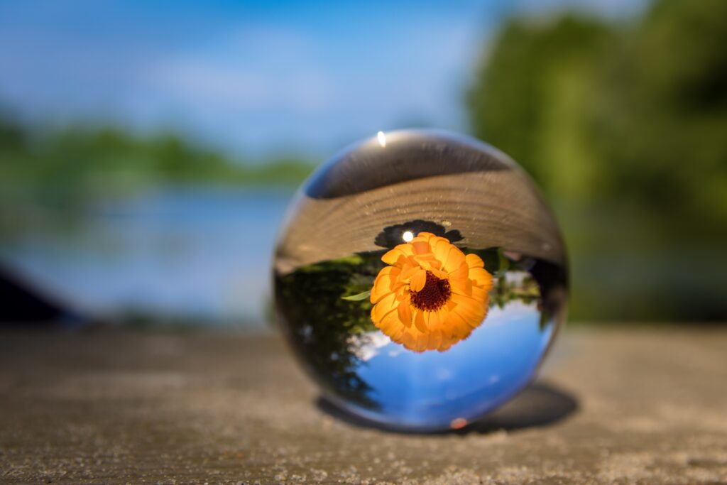 Yellow Reflections: 4K Ultra HD Wallpaper with a Blurred Flower Sphere Background