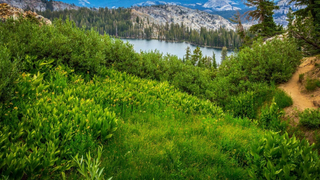 Yosemite's Majestic Lake: Immersive Hyperfocal Nature Wallpaper