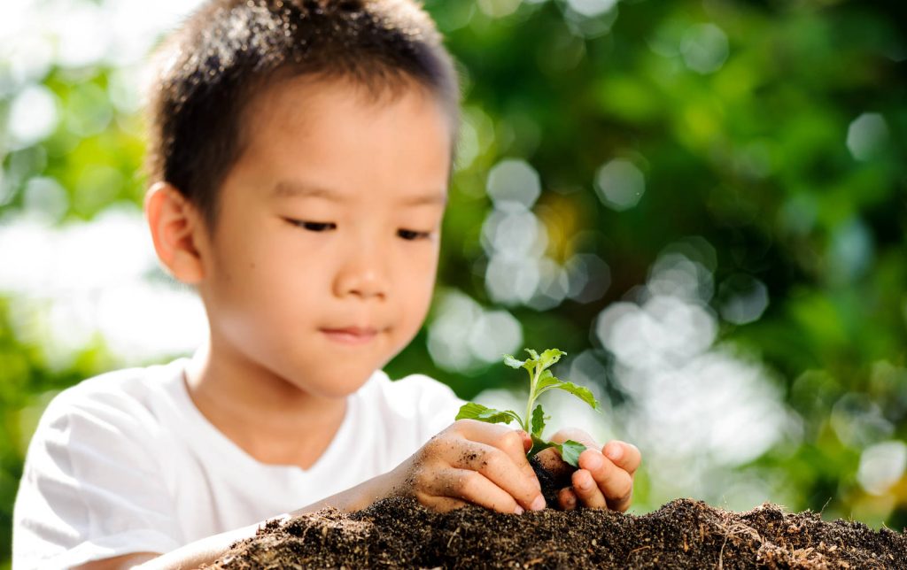 Close-up of young boy planting green sprout in soil hands covered in earth natural sunlight Wallpaper