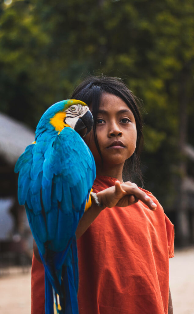 Boy with Blue Parrot: A Colorful Adventure in Nature Wallpaper