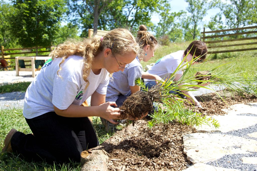 Three women in grey shirts planting greenery on sunny day showing teamwork and landscaping Wallpaper