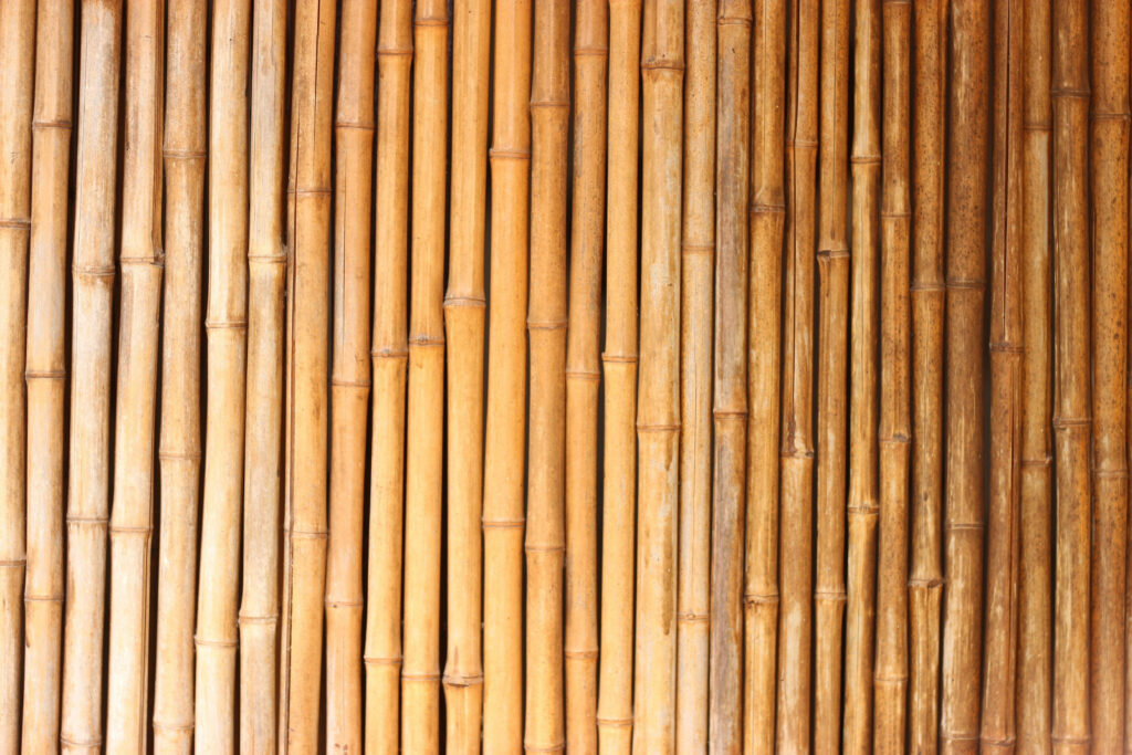 Bamboo Beauty: Captivating Coolness of Japanese Background Wallpaper