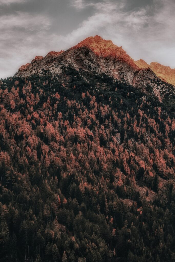 Zillertal Alps Italy autumn forest mountainside with dramatic clouds serene landscape wallpaper