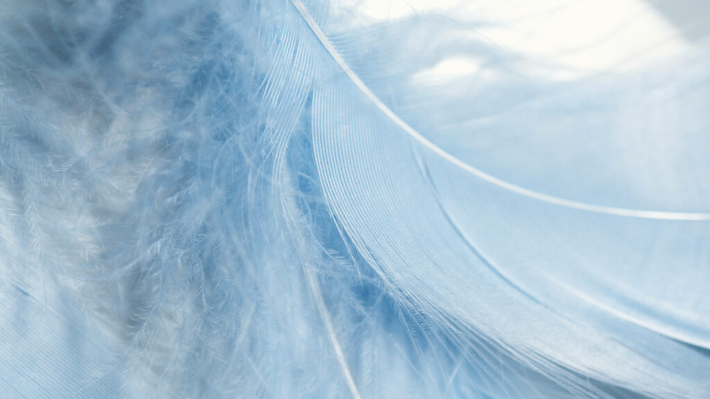 A Feather's Elegance: A Pastel 4K Wallpaper